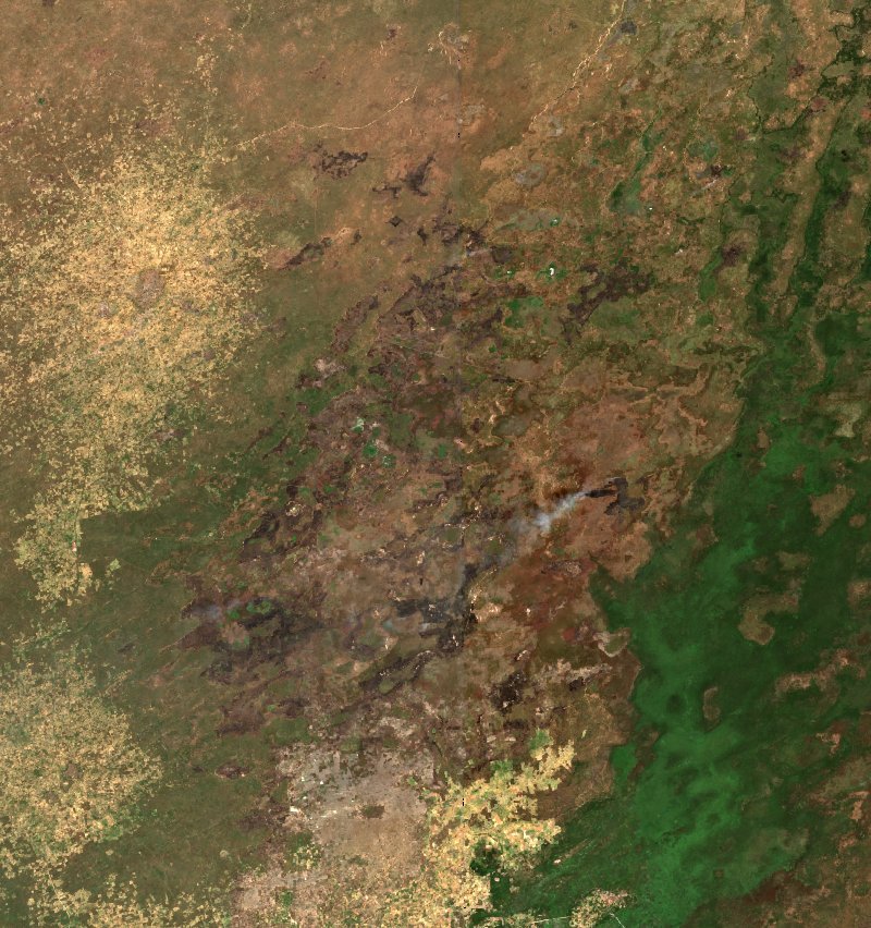 Image satellite Sentinel-2 de la même zone de Borno (NG) pendant l'incendie, le 17 octobre 2026