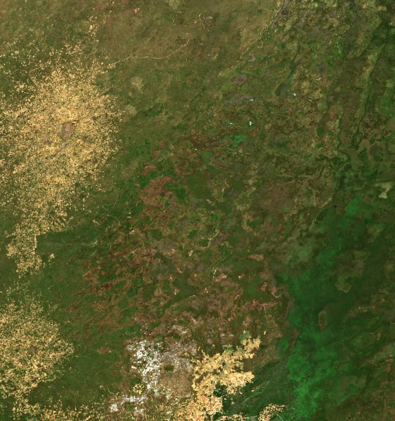 Image satellite Sentinel-2 de la zone de Borno (NG) avant l'incendie, le 24 septembre 2026