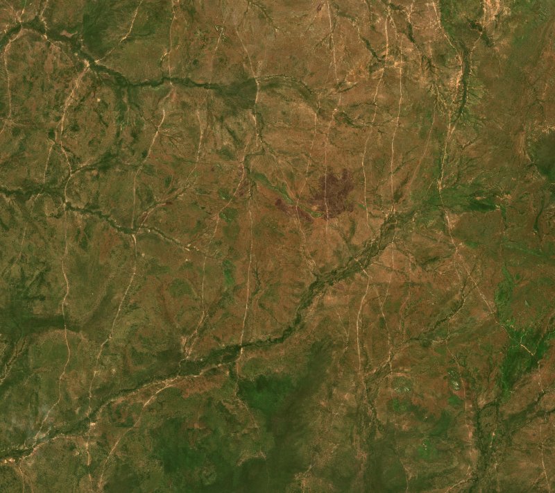 Image satellite Sentinel-2 de la zone de Sila (TD) avant l'incendie, le 5 octobre 2026