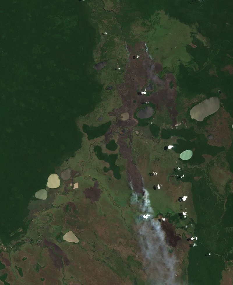 Sentinel-2 satellite image of the same area near Beni (BO) during the fire, on 8 October 2026