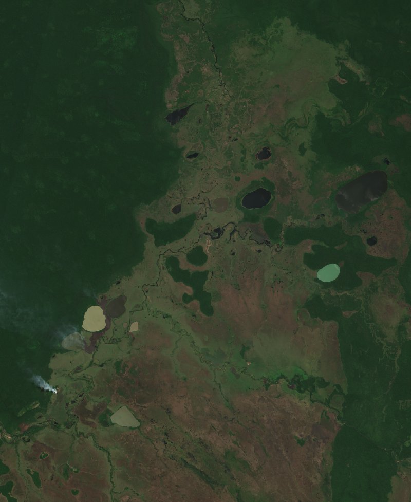 Sentinel-2 satellite image of the area near Beni (BO) before the fire, on 16 September 2026