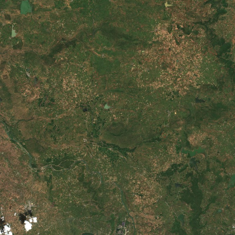 Image satellite Sentinel-2 de la zone de Madhya Pradesh (IN) avant l'incendie, le 2 octobre 2026