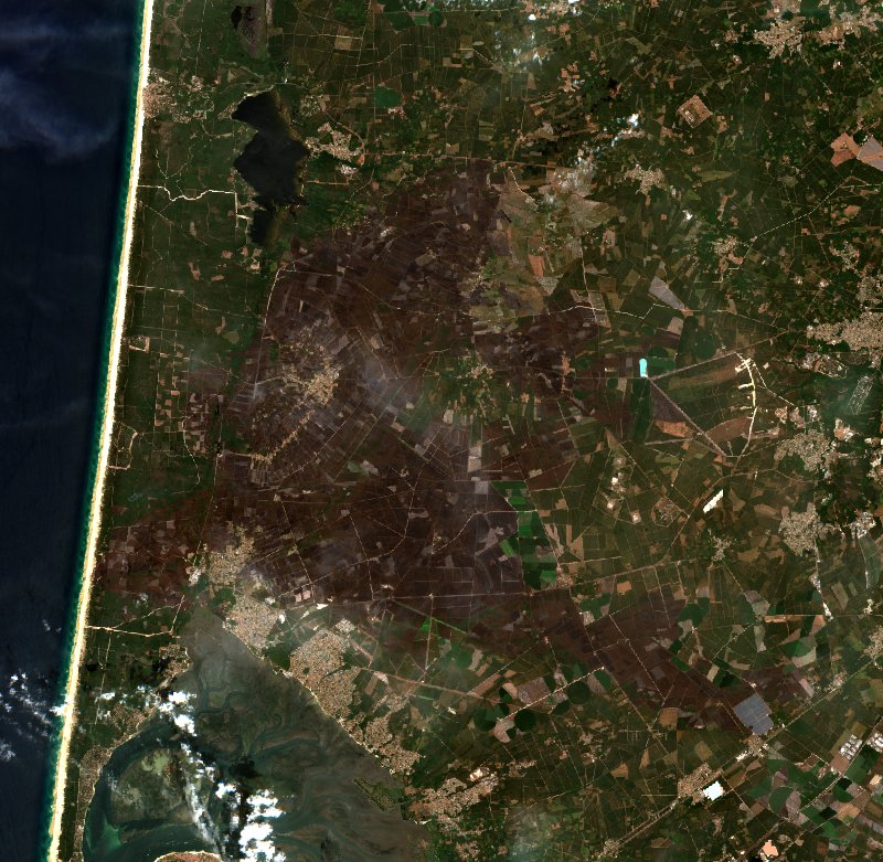 Sentinel-2 satellite image of the same area near Le Porge after the fire, on 2 August 2026