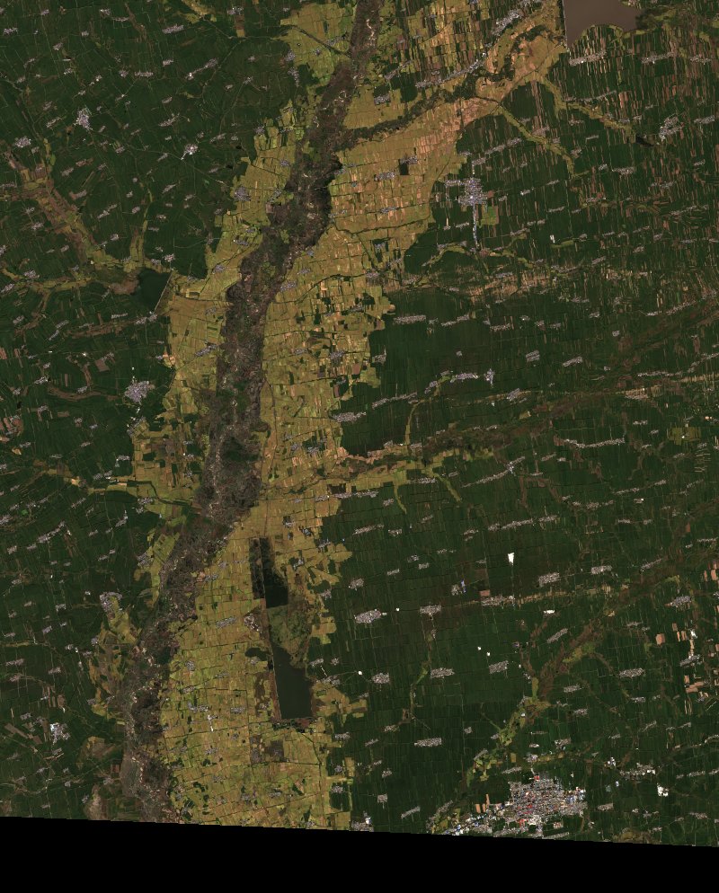 Sentinel-2-Satellitenbild des Gebiets bei Heilongjiang (CN) vor dem Brand, am 24. September 2026