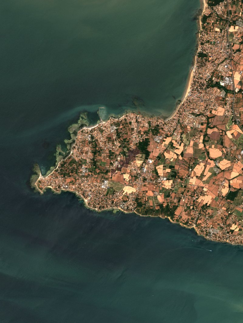 Sentinel-2 satellite image of the same area near La Plaine-sur-Mer after the fire, on 19 July 2026