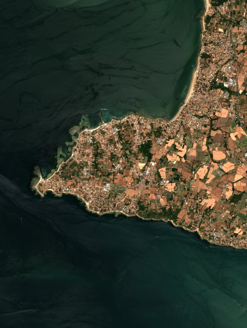 Sentinel-2 satellite image of the area near La Plaine-sur-Mer before the fire, on 6 July 2026