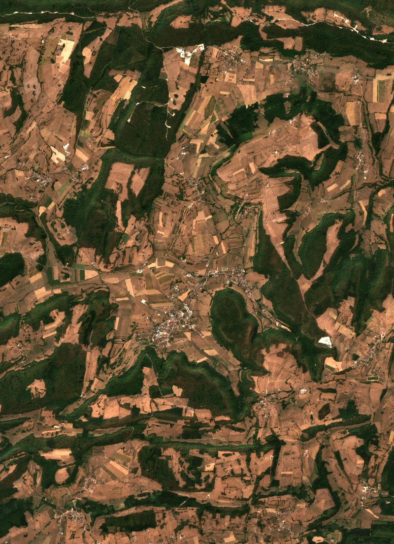 Sentinel-2-Satellitenbild des Gebiets bei Sancey vor dem Brand, am 11. August 2026