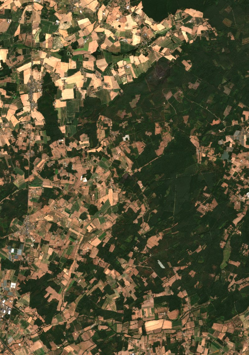 Sentinel-2 satellite image of the same area near Longué-Jumelles after the fire, on 12 August 2026