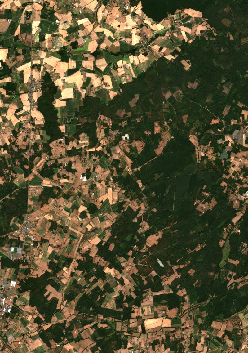 Sentinel-2 satellite image of the area near Longué-Jumelles before the fire, on 10 August 2026