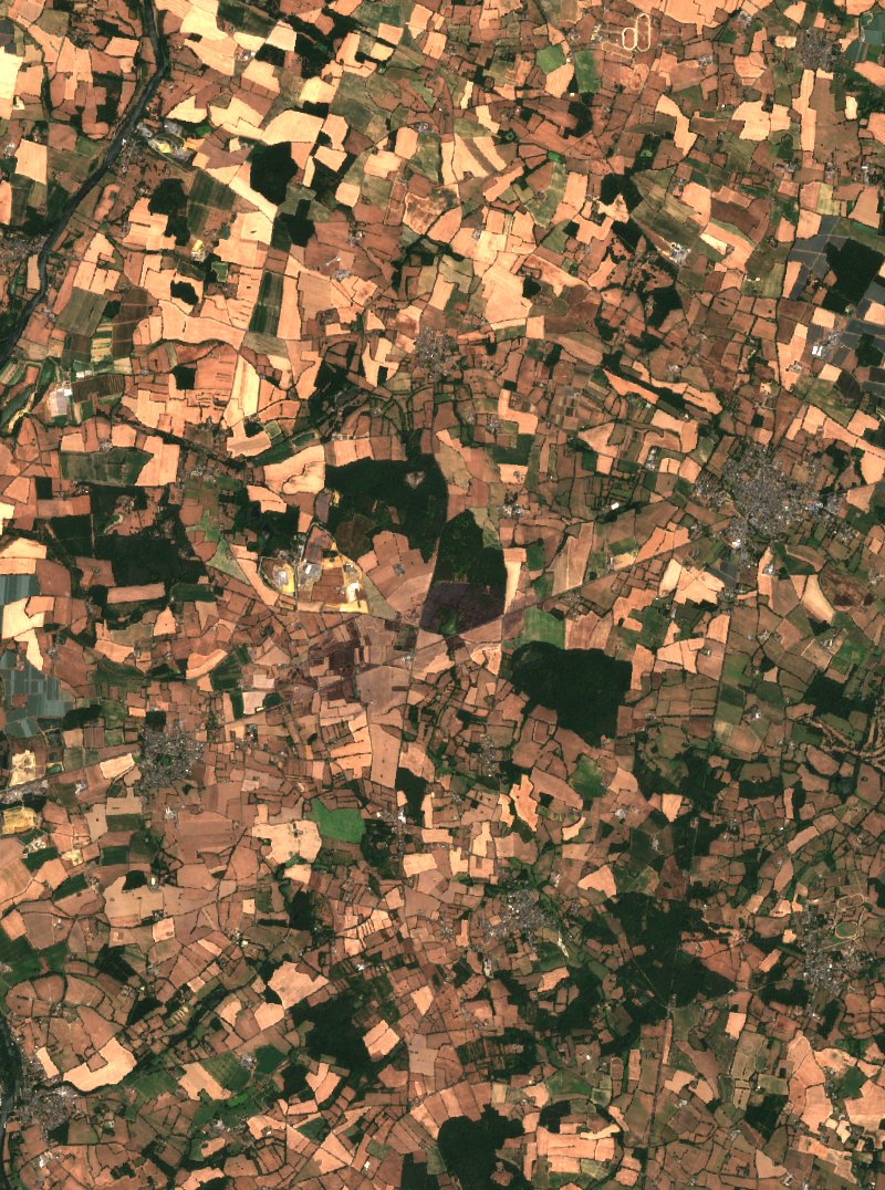 Sentinel-2-Satellitenbild desselben Gebiets bei Les Hauts-d'Anjou nach dem Brand, am 19. Juli 2026