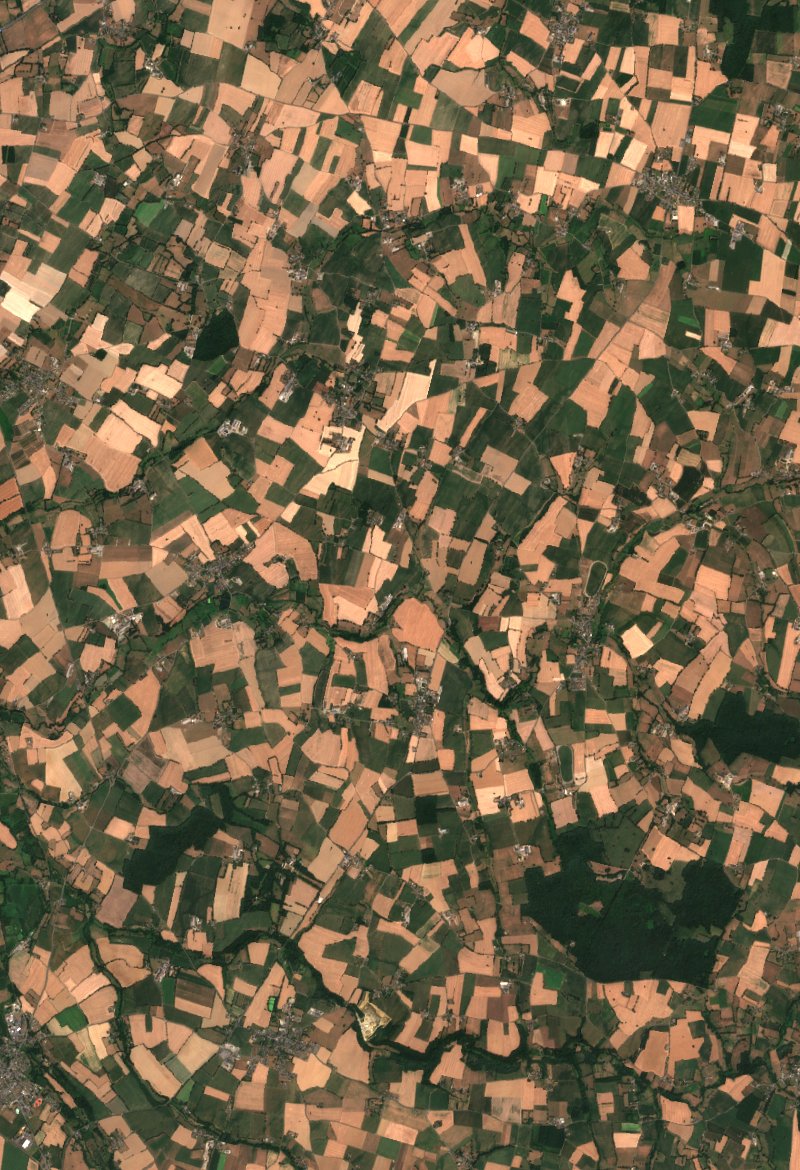Sentinel-2 satellite image of the same area near Saint-James after the fire, on 29 July 2026
