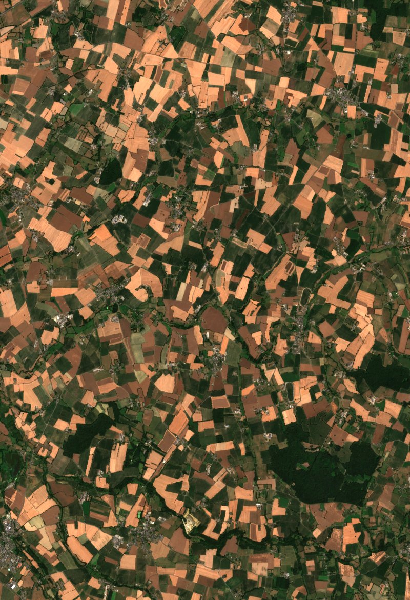 Sentinel-2 satellite image of the area near Saint-James before the fire, on 6 July 2026