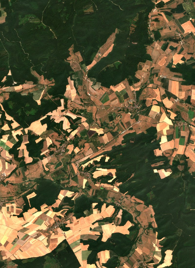 Sentinel-2 satellite image of the same area near Grandpré after the fire, on 25 July 2026