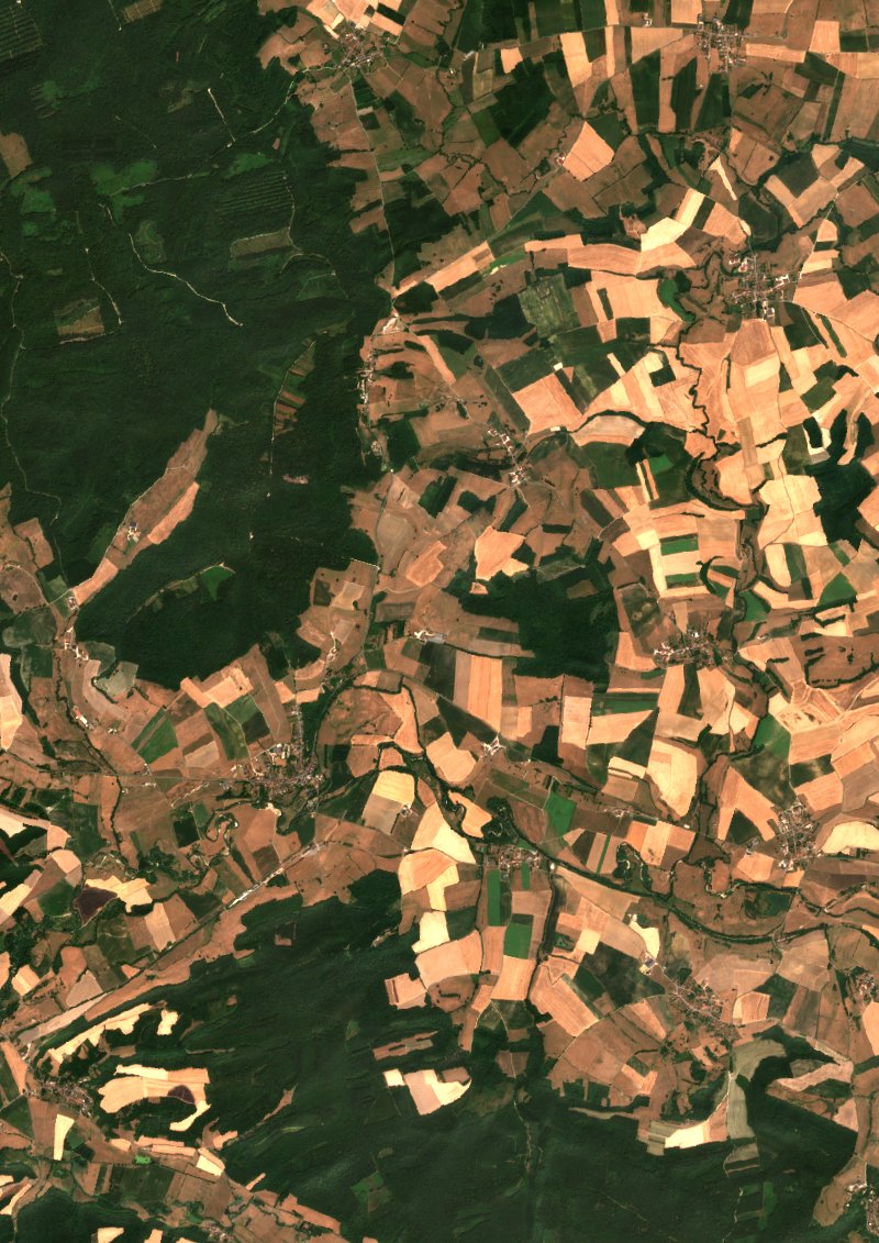 Sentinel-2 satellite image of the same area near Grandpré after the fire, on 25 July 2026