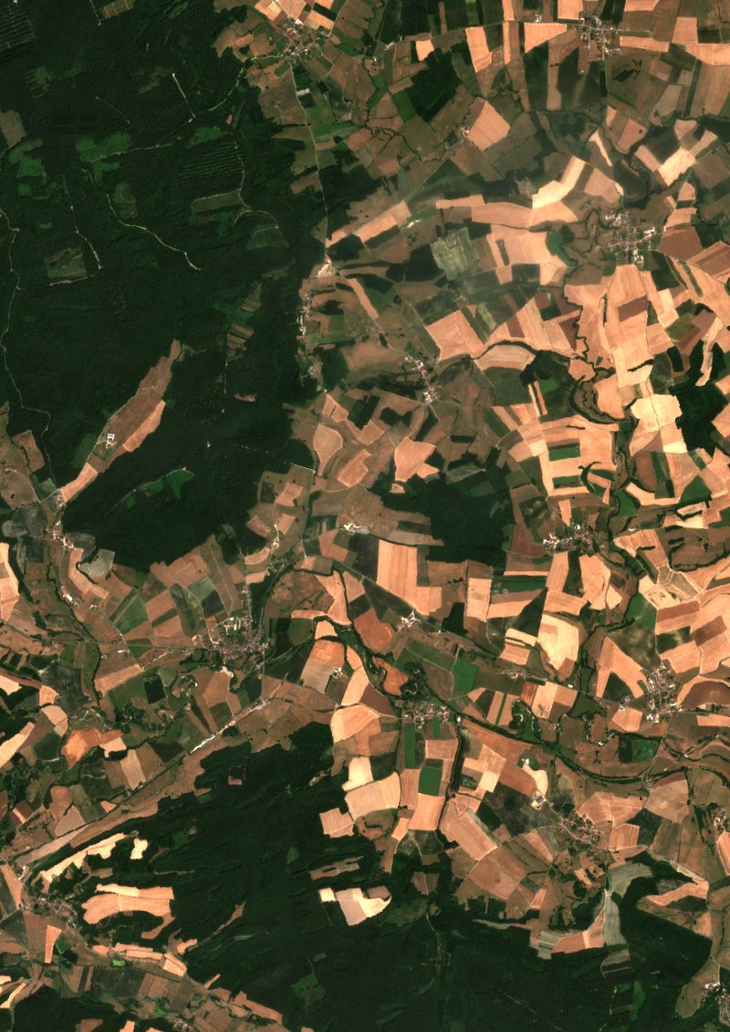 Sentinel-2 satellite image of the area near Grandpré before the fire, on 10 July 2026