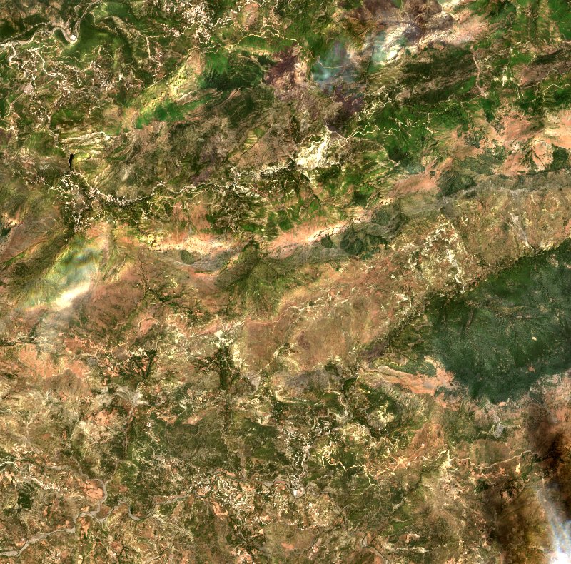 Darguina (DZ) vu par Sentinel-2 le 21 juillet