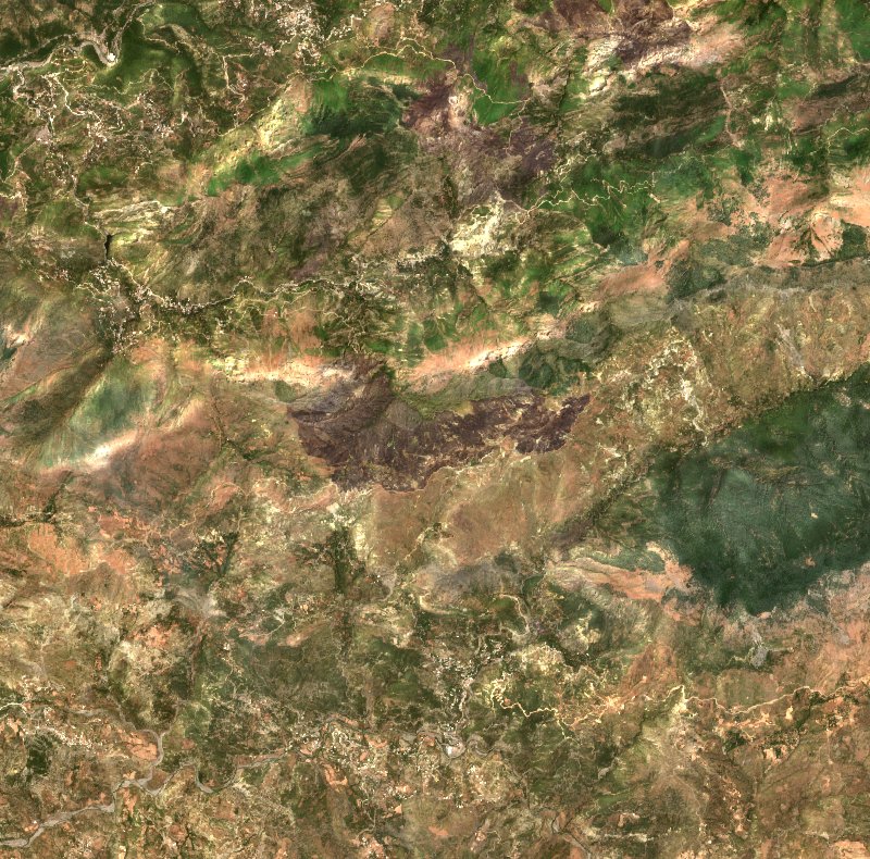 Darguina (DZ) vu par Sentinel-2 le 24 juillet
