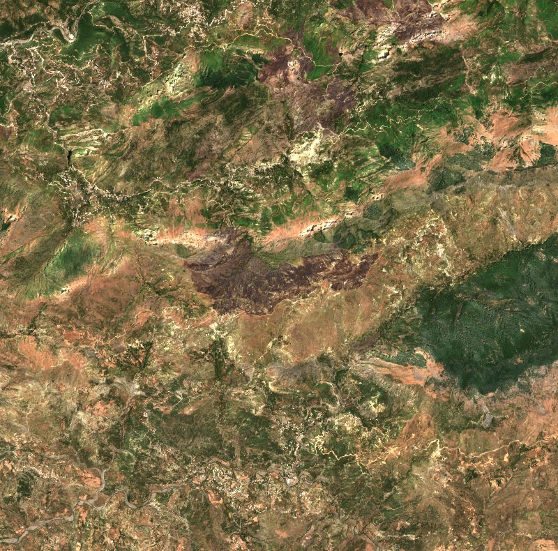 Darguina (DZ) vu par Sentinel-2 le 29 juillet