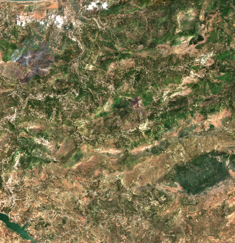Darguina (DZ) vu par Sentinel-2 le 14 juillet