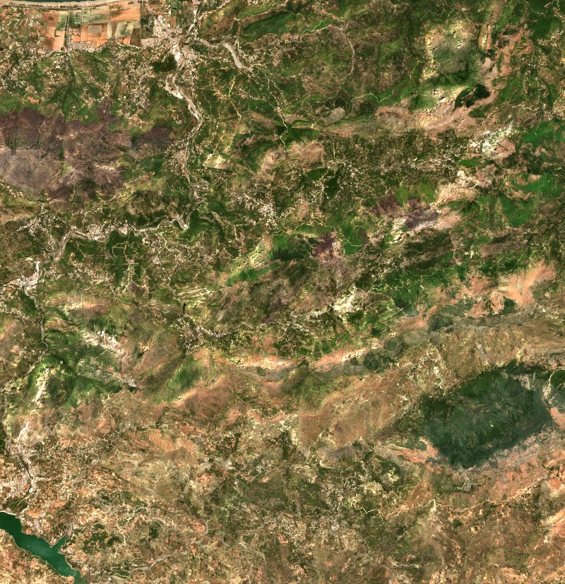 Darguina (DZ) vu par Sentinel-2 le 19 juillet
