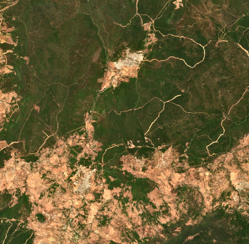 Zitouna (DZ) seen by Sentinel-2 on 18 July