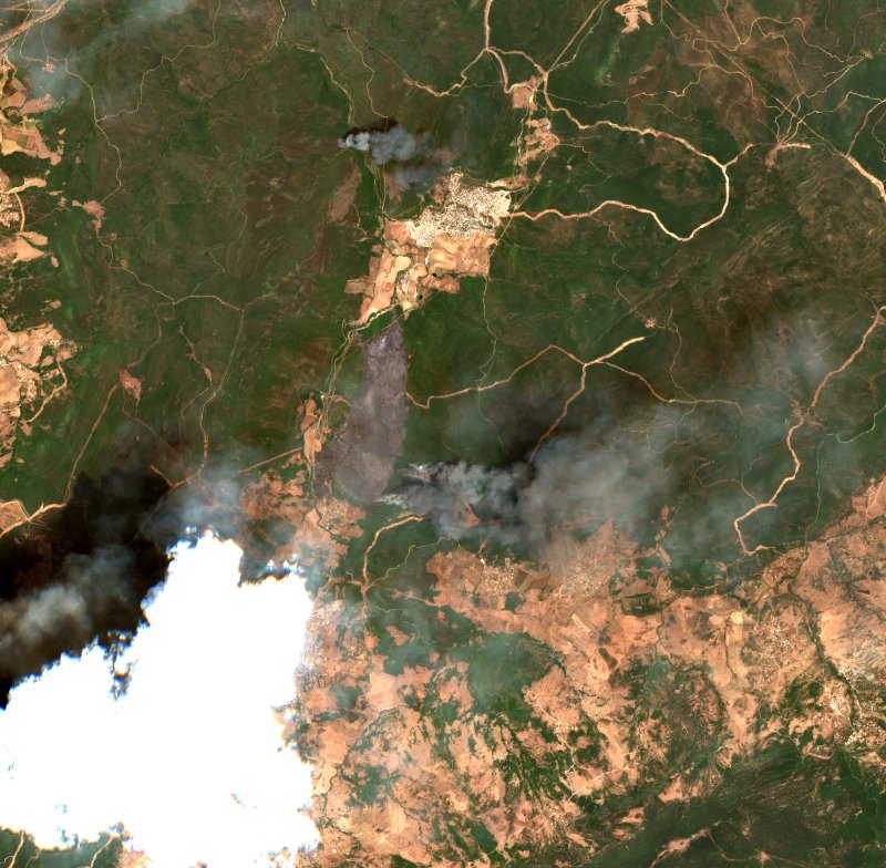Zitouna (DZ) seen by Sentinel-2 on 21 July