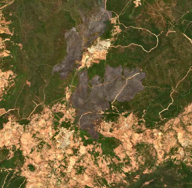 Zitouna (DZ) seen by Sentinel-2 on 26 July