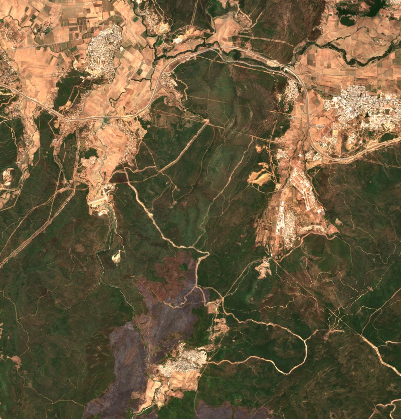 Zitouna (DZ) seen by Sentinel-2 on 20 August