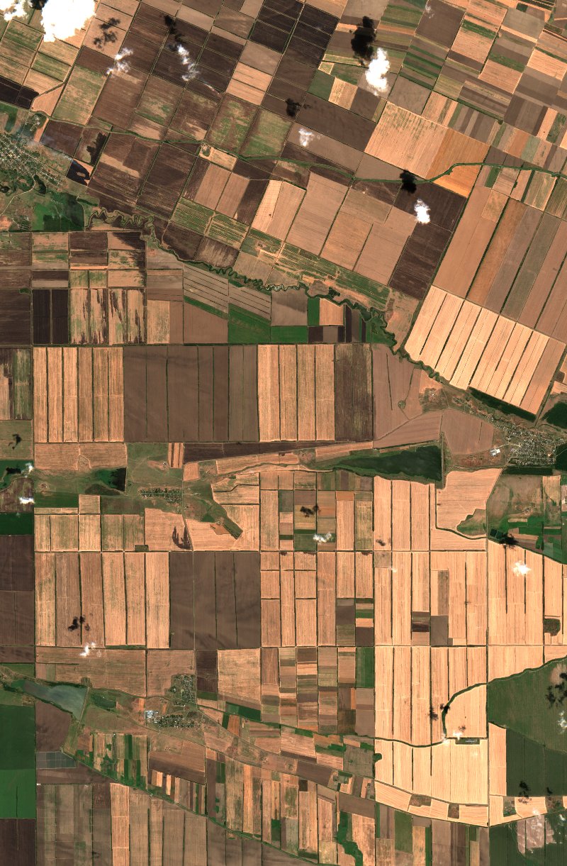 Александровский муниципальный округ (RU) seen by Sentinel-2 on 6 August