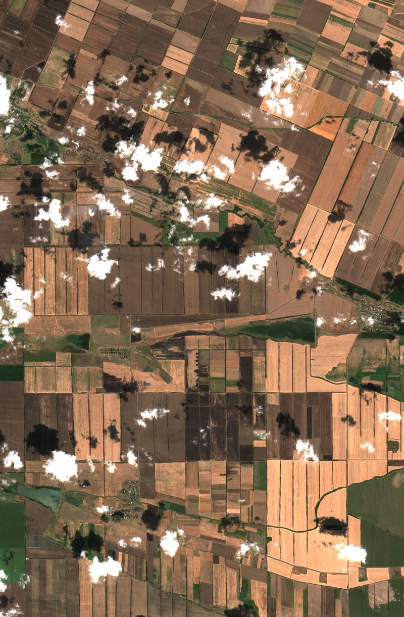 Александровский муниципальный округ (RU) seen by Sentinel-2 on 11 August