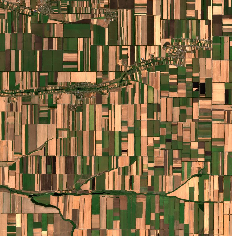 Кавалерское сельское поселение (RU) vu par Sentinel-2 le 11 août