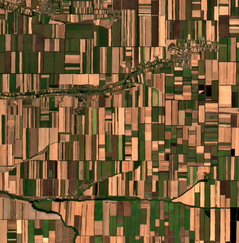 Кавалерское сельское поселение (RU) vu par Sentinel-2 le 12 août