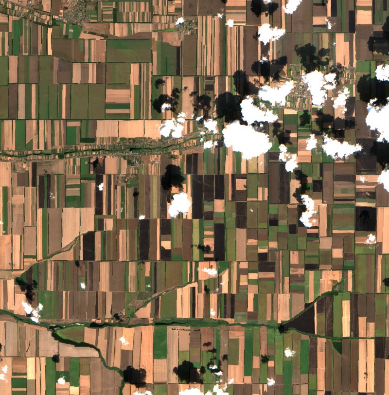 Кавалерское сельское поселение (RU) vu par Sentinel-2 le 19 août
