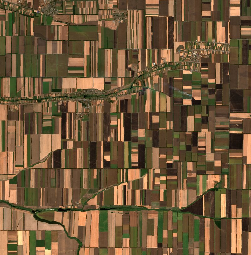 Кавалерское сельское поселение (RU) vu par Sentinel-2 le 22 août