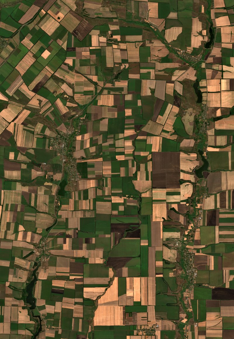 Екатериновское сельское поселение (RU) seen by Sentinel-2 on 15 August