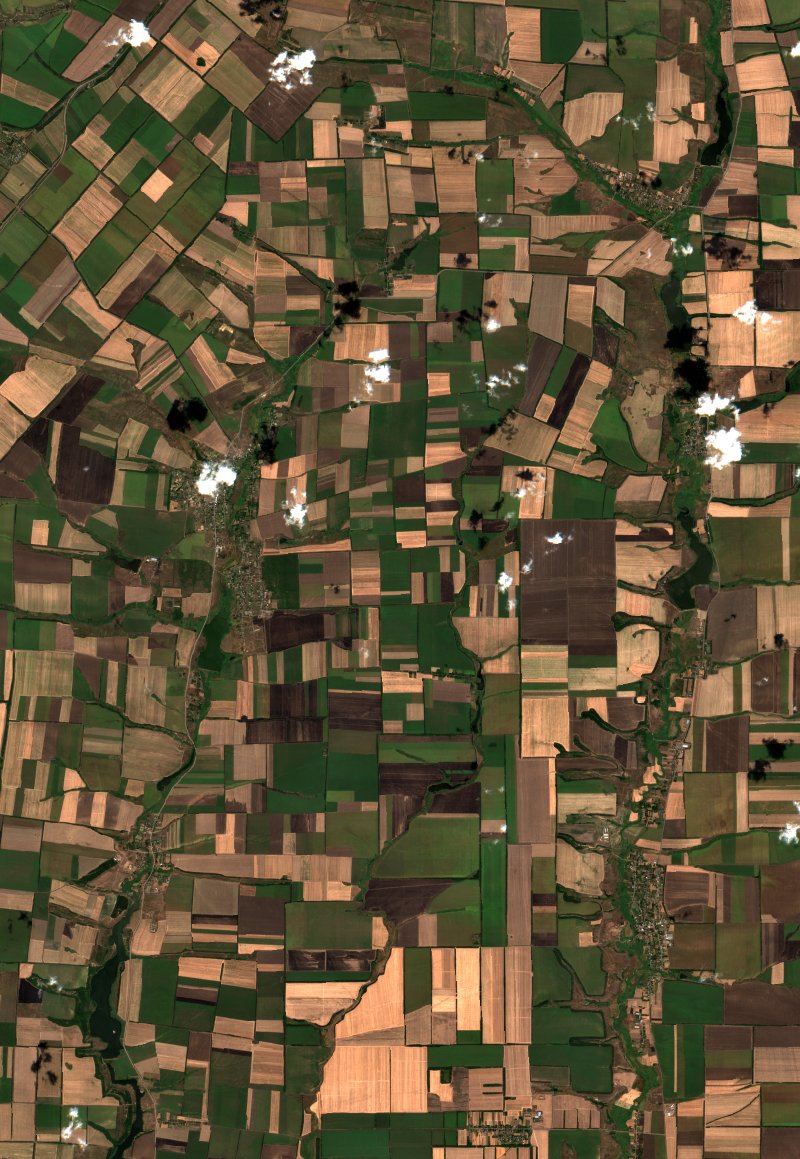 Екатериновское сельское поселение (RU) seen by Sentinel-2 on 20 August