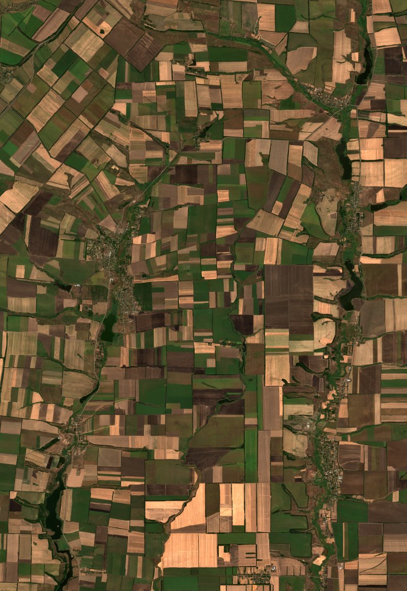 Екатериновское сельское поселение (RU) seen by Sentinel-2 on 25 August