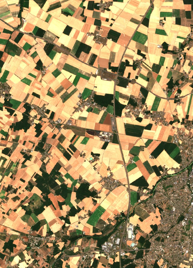 Corquilleroy seen by Sentinel-2 on 8 July