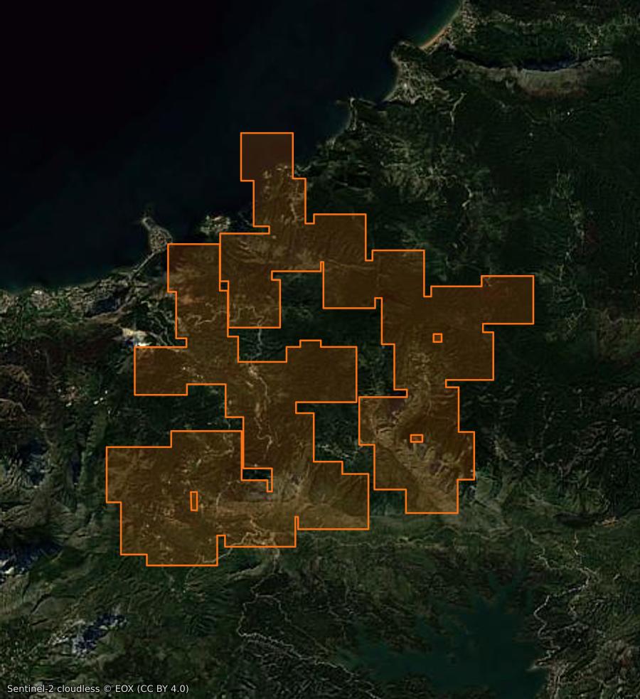 Umriss der Brandfläche bei Ziama Mansouriah (DZ), gezeichnet auf Satellitenbilder