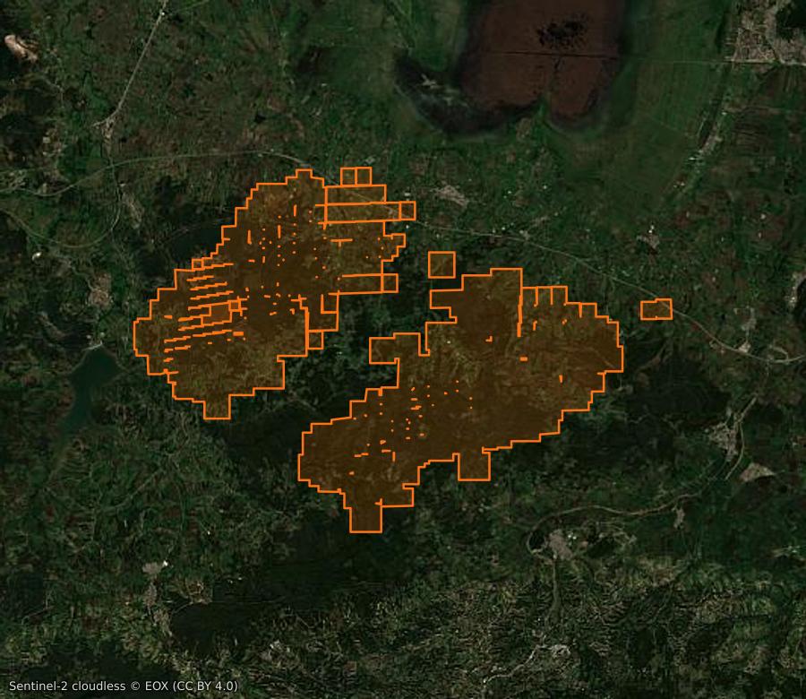 Umriss der Brandfläche bei Eulma (DZ), gezeichnet auf Satellitenbilder