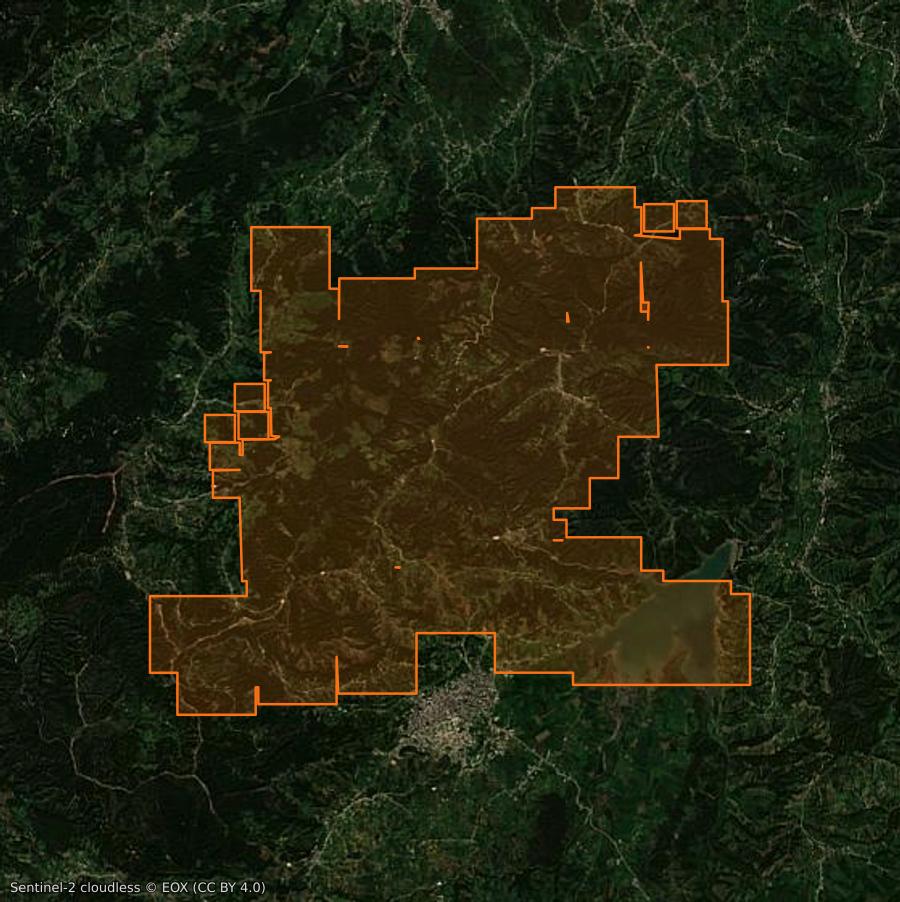 Outline of the burned area near Oum Toub (DZ), drawn over satellite imagery