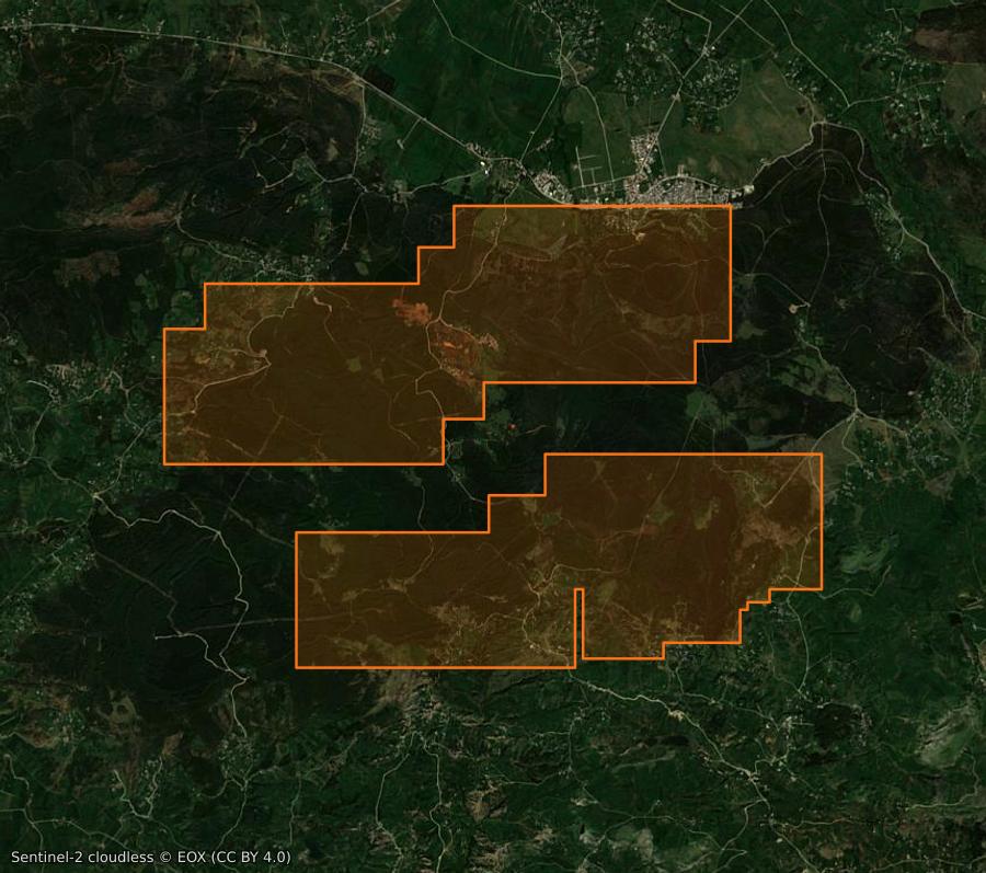 Umriss der Brandfläche bei Sejnane (TN), gezeichnet auf Satellitenbilder