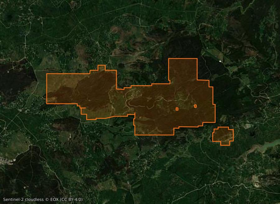 Outline of the burned area near El Hchachna (TN), drawn over satellite imagery
