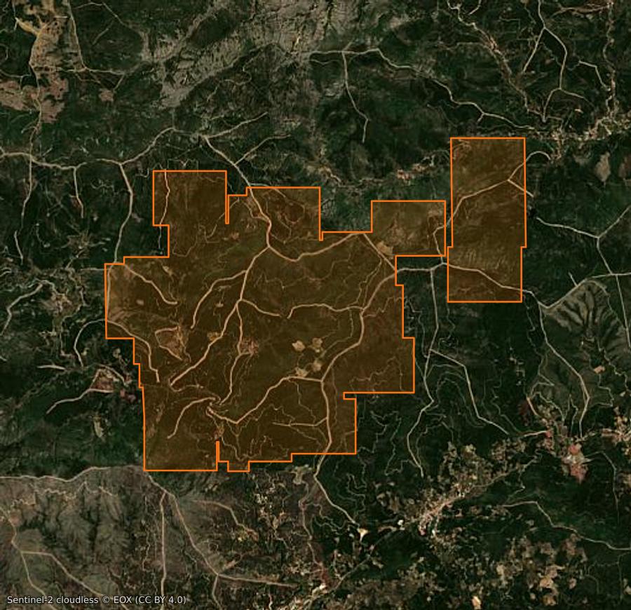 Outline of the burned area near Pinofranqueado (ES), drawn over satellite imagery