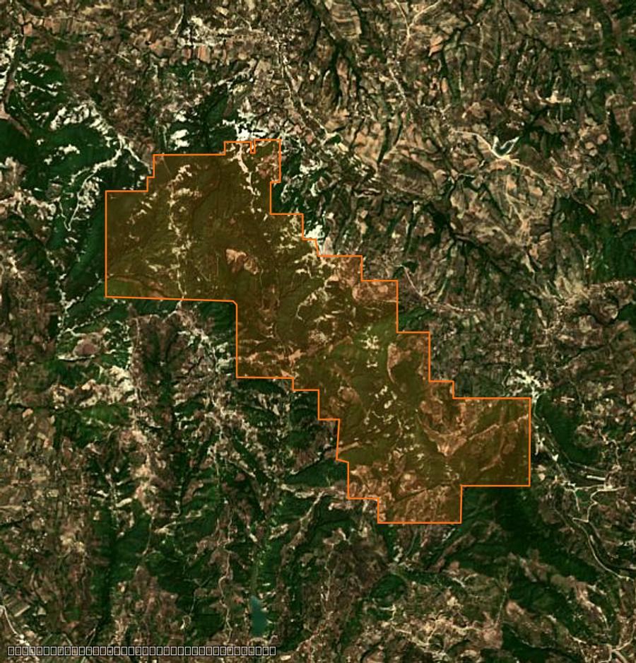 Outline of the burned area near Qendër Dukas (AL), drawn over satellite imagery
