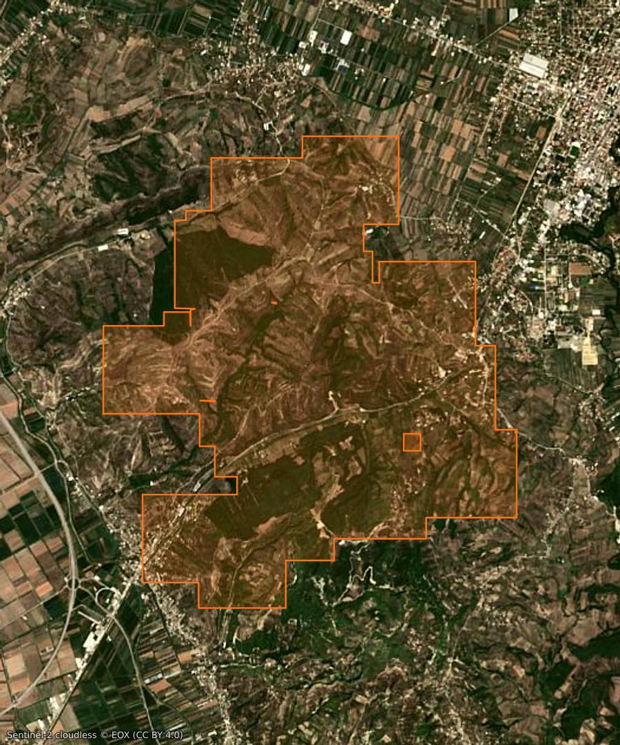 Outline of the burned area near Levan (AL), drawn over satellite imagery