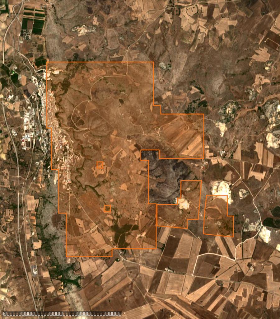 Outline of the burned area near Minervino Murge (IT), drawn over satellite imagery