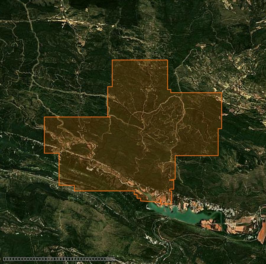 Outline of the burned area near Bailo (ES), drawn over satellite imagery