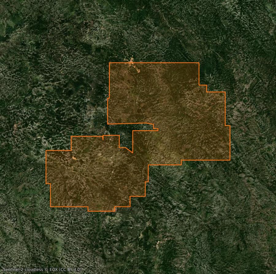 Outline of the burned area near Municipalité de Cetinje (ME), drawn over satellite imagery