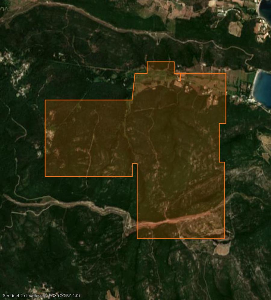 Outline of the burned area near Cagnano, drawn over satellite imagery